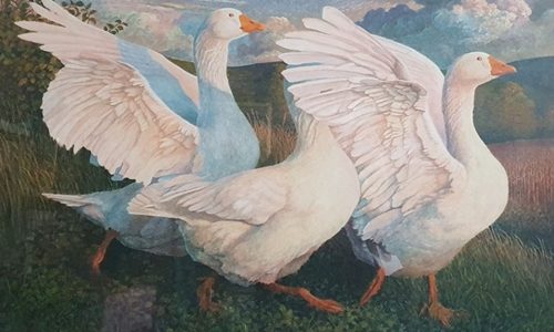 James Lynch (b.1956) Watercolour and gouache drawing "Gaggle of Geese"